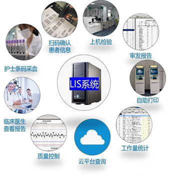 >LIS医学检验系统